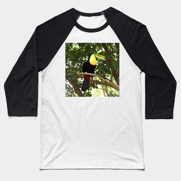 Keel-billed Toucan Baseball T-Shirt by Carole-Anne